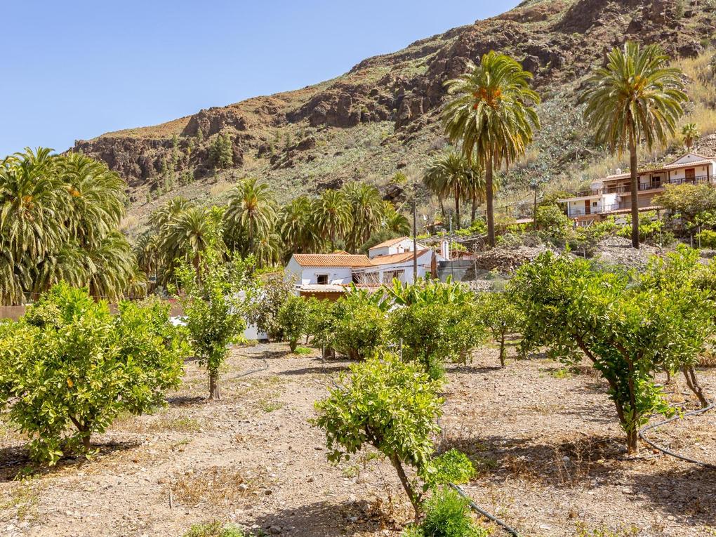 Hus med tomt til salgs i Fataga, Gran Canaria : Ref 05414