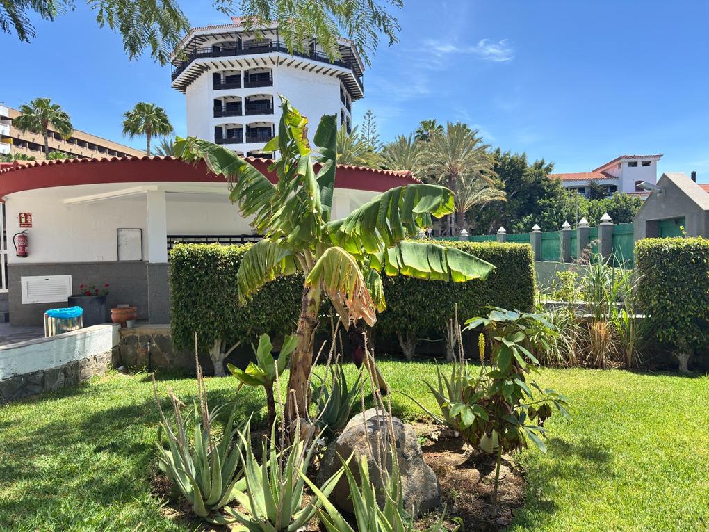 Dúplex  en alquiler en Las Marinas,  Playa del Inglés, Gran Canaria  : Ref 05944-CA