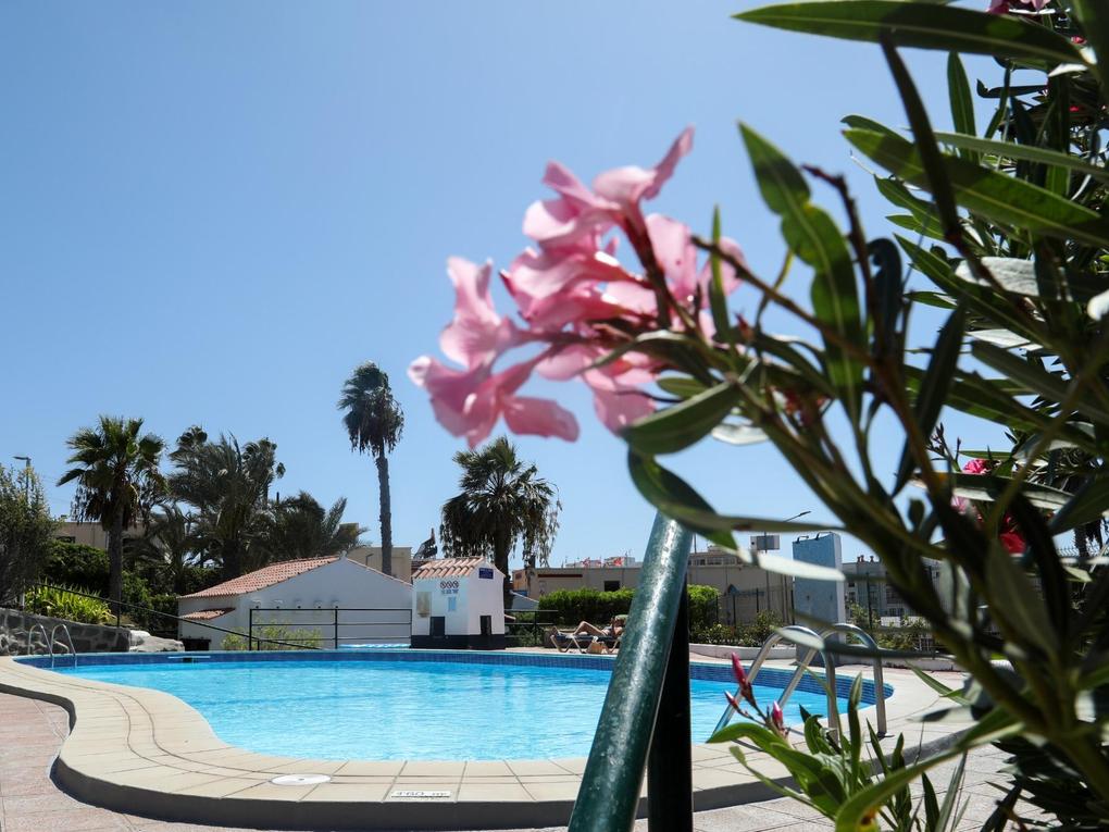 Piscina : Bungalow  en venta en Los Canarios I,  Arguineguín Casco, Gran Canaria con vistas al mar : Ref 06105-CA