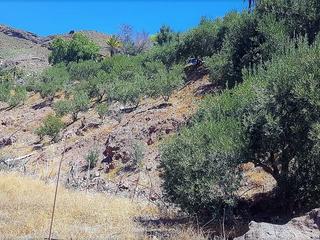Berg te koop in  San Bartolome de Tirajana, Gran Canaria   : Ref PM0033-3519
