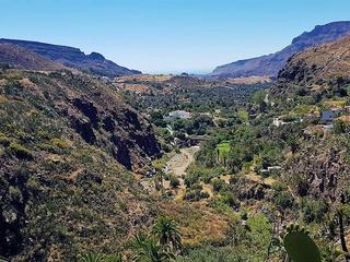 Berg te koop in  San Bartolomé Interior, Gran Canaria   : Ref 0092-00459