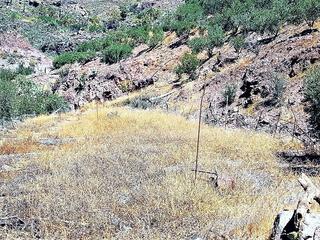 Berg te koop in  San Bartolomé Interior, Gran Canaria   : Ref 0092-00459