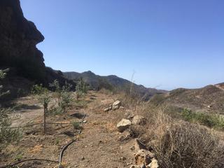 Urban mark till salu  i  Chira, Gran Canaria   : Ref JK0092-9115