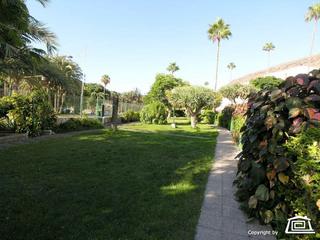 Bungalow zu mieten in Jamaica,  Puerto Rico, Gran Canaria   : Ref 3467