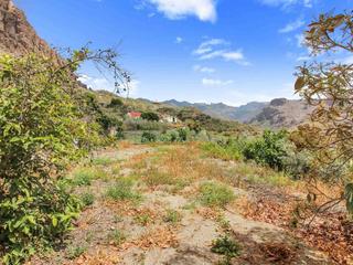 Plot : Plot of land  for sale in  Barranquillo Andrés, Gran Canaria  : Ref 05225-CA