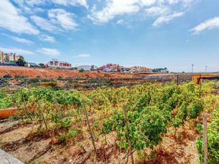 Garten : Haus mit Grundstück  zu kaufen in  Las longueras, Gran Canaria  : Ref 05243-CA