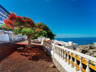 Garden : Apartment for sale in Vista Taurito,  Taurito-Playa de Mogán, Gran Canaria  with sea view : Ref 05632-CA
