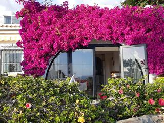 Terrasse : Bungalow zu kaufen in Los Canarios 1,  Arguineguín Casco, Gran Canaria   : Ref 05838-CA