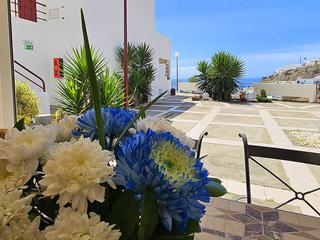 Duplex  for sale in  Puerto Rico, Barranco Agua La Perra, Gran Canaria with optional garage : Ref D822S