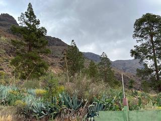 Propriété rurale  en vente à  Fataga, Gran Canaria  : Ref 23AJ005
