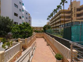 Apartment zu kaufen in  Playa del Inglés, Gran Canaria   : Ref PP26AJ15