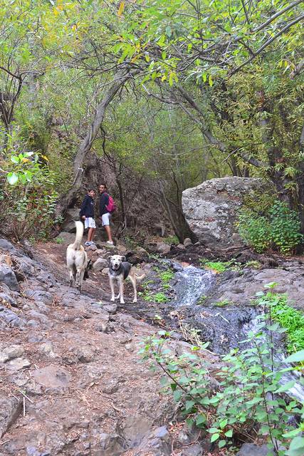 Barranco de los Cernicalos