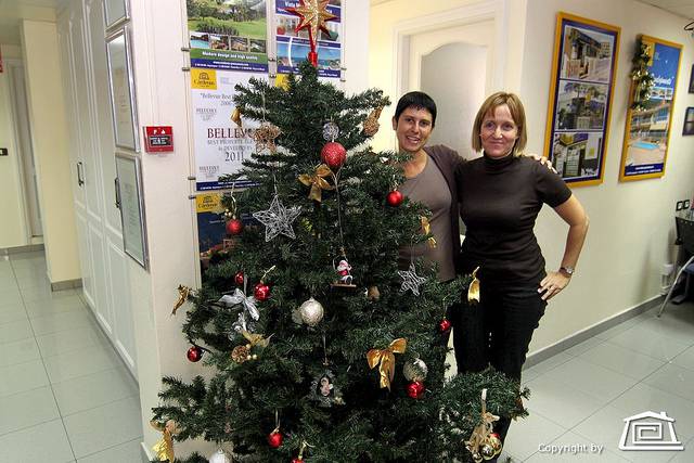 Our Christmas Tree | Cardenas Real Estate