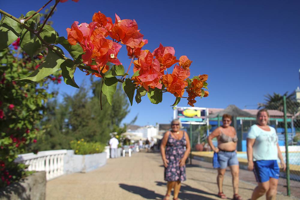 The south of Gran Canaria gets the best weather in the world