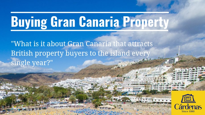 What is it about Gran Canaria that attracts British property buyers to the island every single year?|