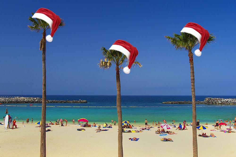 Happy Christmas from Cardens Real Estate in south Gran Canaria