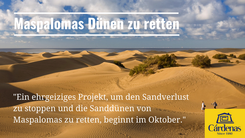 Ein ehrgeiziges Projekt, um den Sandverlust zu stoppen und die Sanddünen von Maspalomas zu retten, beginnt im Oktober|An ambitious project to stop sand loss and save the Maspalomas sand dunes starts in October|||Dawn in the Maspalomas sand dunes in south Gran Canaria|||Ein ehrgeiziges Projekt, um den Sandverlust zu stoppen und die Sanddünen von Maspalomas zu retten, beginnt im Oktober|Ein ehrgeiziges Projekt, um den Sandverlust zu stoppen und die Sanddünen von Maspalomas zu retten, beginnt im Oktober|The Maspalomas sand dunes in south Gran Canaria|Un ambicioso Proyecto para parar la perdida de arena y salvar las dunas de Maspalomas comienza en Octubre|Et ambisiøst prosjekt for å stoppe tapet av sand og redde sanddynene i Maspalomas starter i oktober