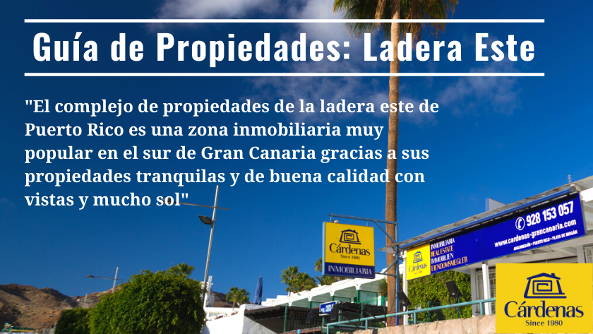 La zona inmobiliaria de Puerto Rico en Gran Canaria y por qué es atractiva para los compradores|East Hill Puerto Rico property area|Infographic of the highlights of the East Hill property area in Puerto Rico de Gran Canaria resort|The East Hill property area of Puerto Rico resort in Gran Canaria and why it is a hotspot for buyers|Infografía de los aspectos más destacados de la zona inmobiliaria de la ladera este de Puerto Rico en Gran Canaria