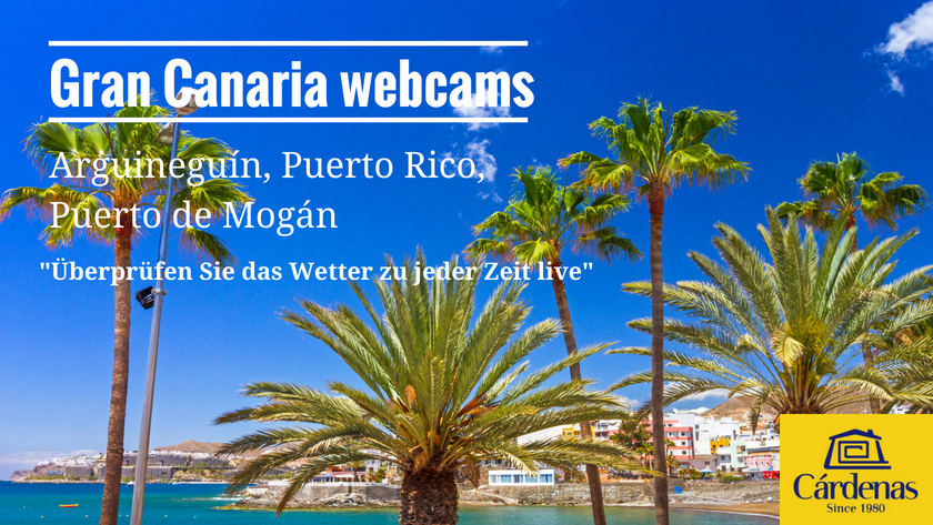 Qualität-Webcams in Arguineguin, Puerto Rico und Puerto de Mogán: Überprüfen Sie das Wetter zu jeder Zeit live