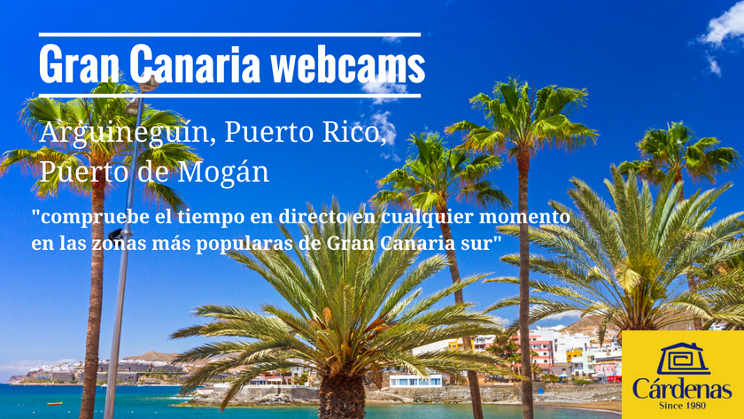 erupción Cordelia Investigación Webcams en Gran Canaria: Compruebe El Tiempo En Directo | Cárdenas  Inmobiliaria