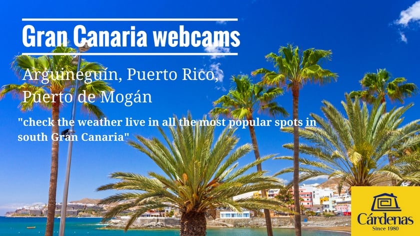 Gran Canaria webcams: Check the weather live with our Arguineguín, Puerto Rico and Puerto de Mogán webcams||Webcam at Puerto Rico that tells you if it's sunny at Amadores beach|Puerto de Mogan webcam by Cárdenas Real Estate