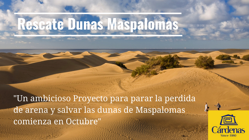 Un ambicioso Proyecto para parar la perdida de arena y salvar las dunas de Maspalomas comienza en Octubre|An ambitious project to stop sand loss and save the Maspalomas sand dunes starts in October|||Dawn in the Maspalomas sand dunes in south Gran Canaria|||Ein ehrgeiziges Projekt, um den Sandverlust zu stoppen und die Sanddünen von Maspalomas zu retten, beginnt im Oktober|The Maspalomas sand dunes in south Gran Canaria|The Maspalomas sand dunes in south Gran Canaria|Ein ehrgeiziges Projekt, um den Sandverlust zu stoppen und die Sanddünen von Maspalomas zu retten, beginnt im Oktober|Et ambisiøst prosjekt for å stoppe tapet av sand og redde sanddynene i Maspalomas starter i oktober