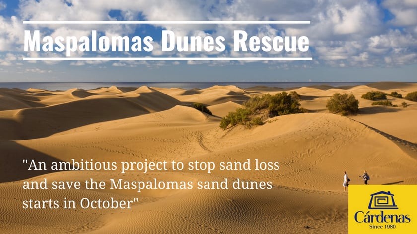 An ambitious project to stop sand loss and save the Maspalomas sand dunes in Gran Canaria starts in October|||Dawn in the Maspalomas sand dunes in south Gran Canaria||||The Maspalomas sand dunes in south Gran Canaria|The Maspalomas sand dunes in south Gran Canaria|Ein ehrgeiziges Projekt, um den Sandverlust zu stoppen und die Sanddünen von Maspalomas zu retten, beginnt im Oktober|Un ambicioso Proyecto para parar la perdida de arena y salvar las dunas de Maspalomas comienza en Octubre|Et ambisiøst prosjekt for å stoppe tapet av sand og redde sanddynene i Maspalomas starter i oktober