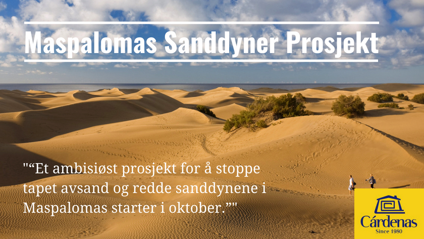 Et ambisiøst prosjekt for å stoppe tapet av sand og redde sanddynene i Maspalomas starter i oktober|An ambitious project to stop sand loss and save the Maspalomas sand dunes starts in October|||Dawn in the Maspalomas sand dunes in south Gran Canaria|||Ein ehrgeiziges Projekt, um den Sandverlust zu stoppen und die Sanddünen von Maspalomas zu retten, beginnt im Oktober|The Maspalomas sand dunes in south Gran Canaria|The Maspalomas sand dunes in south Gran Canaria|Ein ehrgeiziges Projekt, um den Sandverlust zu stoppen und die Sanddünen von Maspalomas zu retten, beginnt im Oktober|Un ambicioso Proyecto para parar la perdida de arena y salvar las dunas de Maspalomas comienza en Octubre