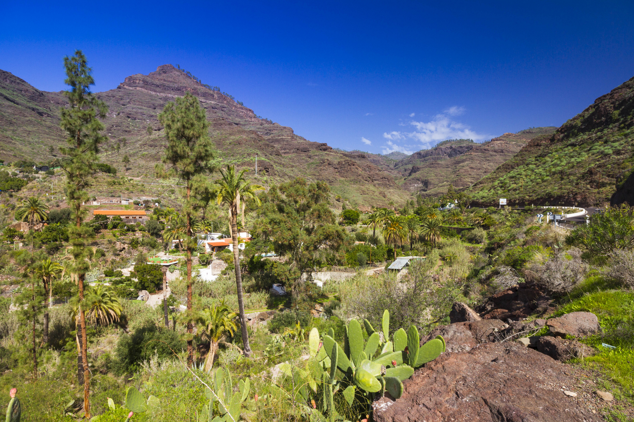 The new Tamaranae walking route through the Mogán Valley