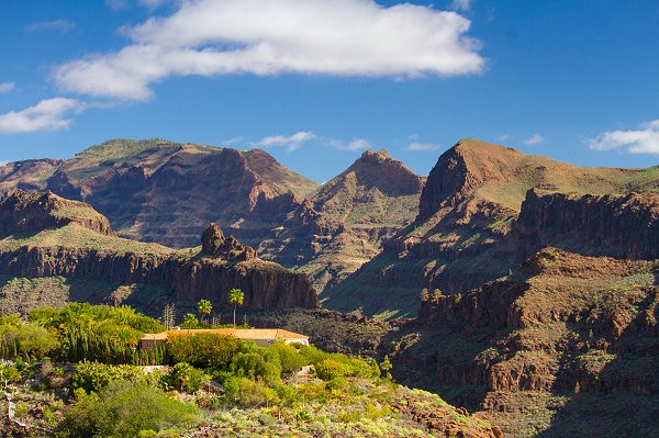 Monte Leon, Gran Canaria