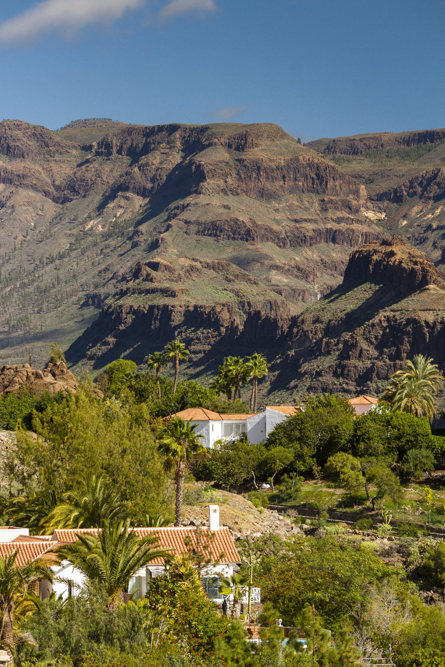 Monteleón is Gran Canaria's most exclusive and luxurious property area thanks to its enviable location and limited number of exceptional villas surrounded by pristine countryside.|Monteleón liuxury property zone in south Gran Canaria|Monteleón is a luxury property enclave set in the countryside in south Gran Canaria |Monteleón luxury property zone in south Gran Canaria|Monteleón ist eine luxuriöse Immobilien-Enklave auf dem Lande im Süden Gran Canarias |Monteleon er en luksuriøs eiendomsklave som ligger på landsbygda på Sør-Gran Canaria|Monteleón ist eine luxuriöse Immobilien-Enklave auf dem Lande im Süden Gran Canarias |Monteleón es un enclave inmobiliario de lujo en el campo del sur de Gran Canaria|