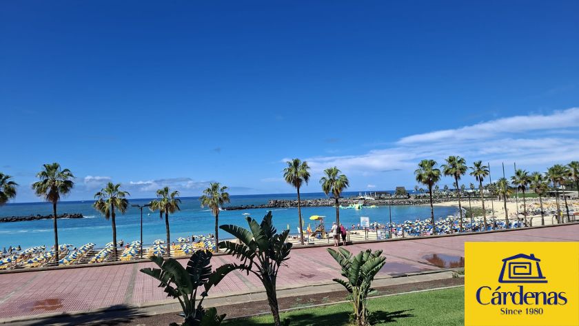 La playa de Amadores, con palmeras y cielo azul