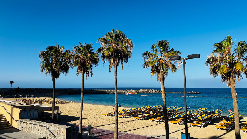 Amadores beach with palms