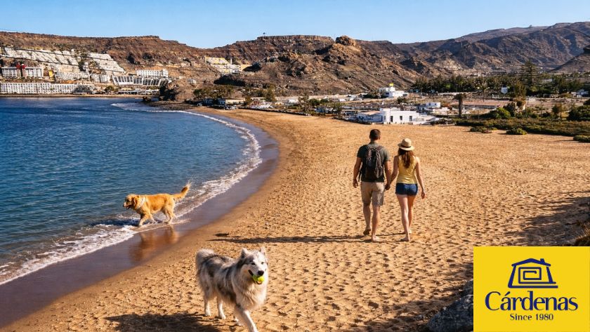 Dogs playing on Tauro beach