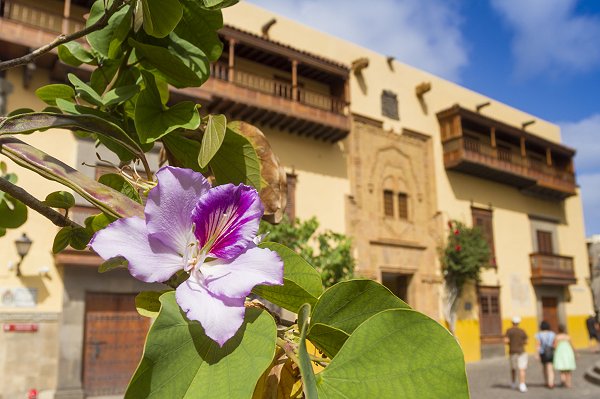 Vegueta, Gran Canaria