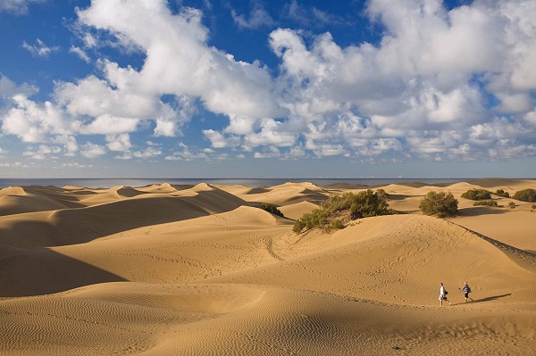 Maspalomas Dunes