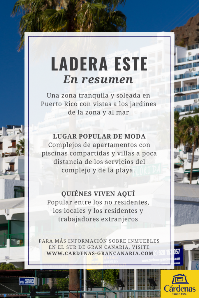 Infografía de los aspectos más destacados de la zona inmobiliaria de la ladera este de Puerto Rico en Gran Canaria